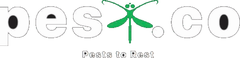 PESTCO Singapore